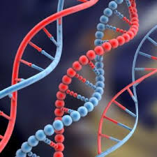 آمار شگفت انگیز در مورد DNA