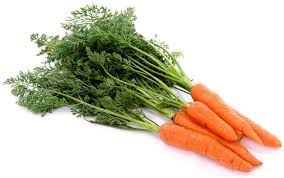هویج را در منزلتان پرورش دهید