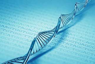 قرار گرفتن 700 ترابایت اطلاعات در یک گرم DNA
