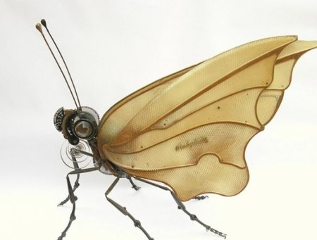 دنیای زیبای حشرات، با خلاقیت این هنرمند!