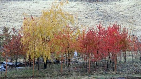 تصاویری از طبیعت پاییزی در طالقان