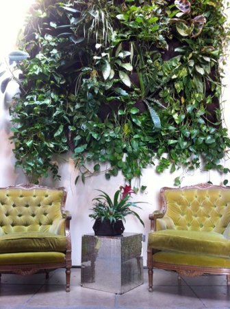 دکوراسیون دیوار با پوششی از گیاهان!