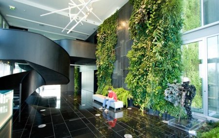 دکوراسیون دیوار با پوششی از گیاهان!