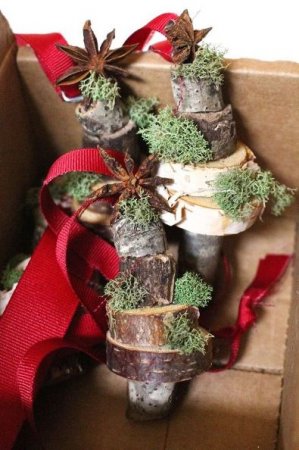 تزئینات درخت کاج کریسمس با آویزی از طبیعت ! ( همراه آموزش)