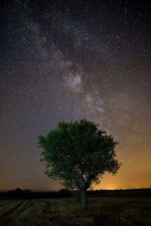 چگونه از دیدنیهای آسمان شب هنگام عکسبرداری کنیم ؟