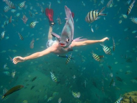 تصاویری از زیبایی های دنیای زیر آبها
