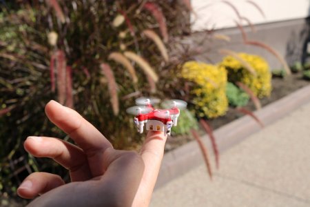 MOTA JETAT Nano کوچکترین و ارزانترین پرنده الکترونیکی همراه تصاویر