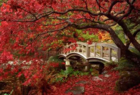 عکسهایی از زیبایی پاییز