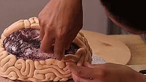 طرز تهیه کیک ترسناک مغز زامبی با آموزش تصویری