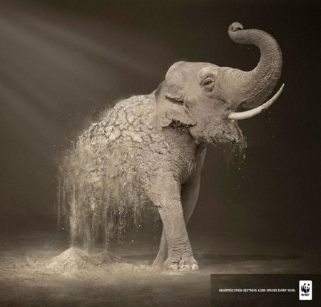 زیباترین آثار هنری در حمایت از طبیعت و حقوق حیوانات
