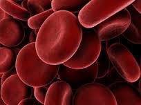 ساخت پودر خون برای نجان جان نیازمندان به خون